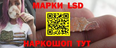 дмт Ярославль
