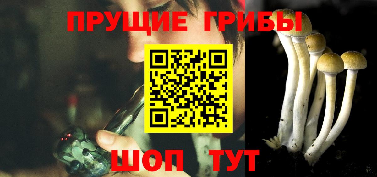 Псилоцибиновые грибы мицелий  Вход с VPN  Курчалой 