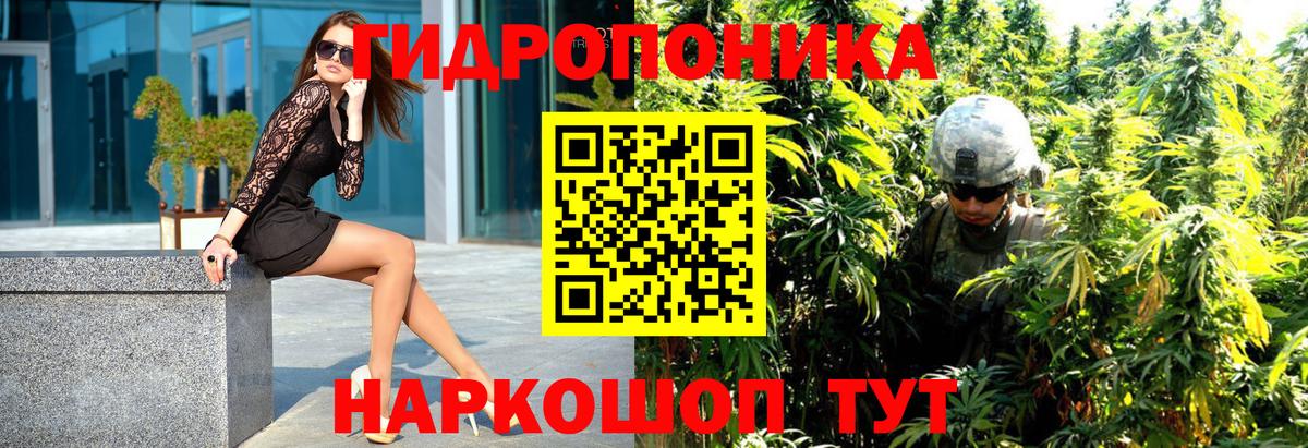 Каннабис индика  Бошки Шишки гибрид  Конопля White Widow  Вход с VPN  Курчалой 